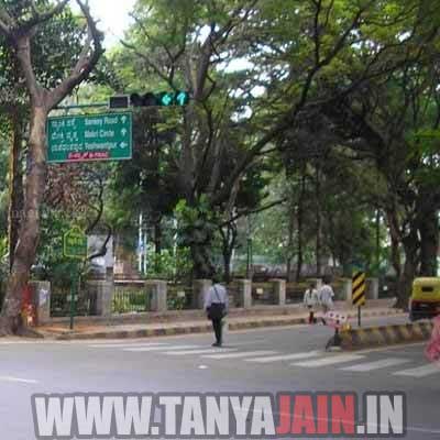 CALL GIRLS IN PALI HILL